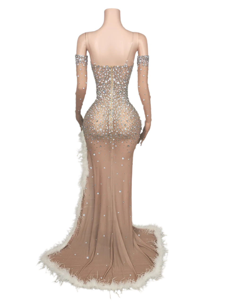 Crystal Cascade Feather Trim Gown