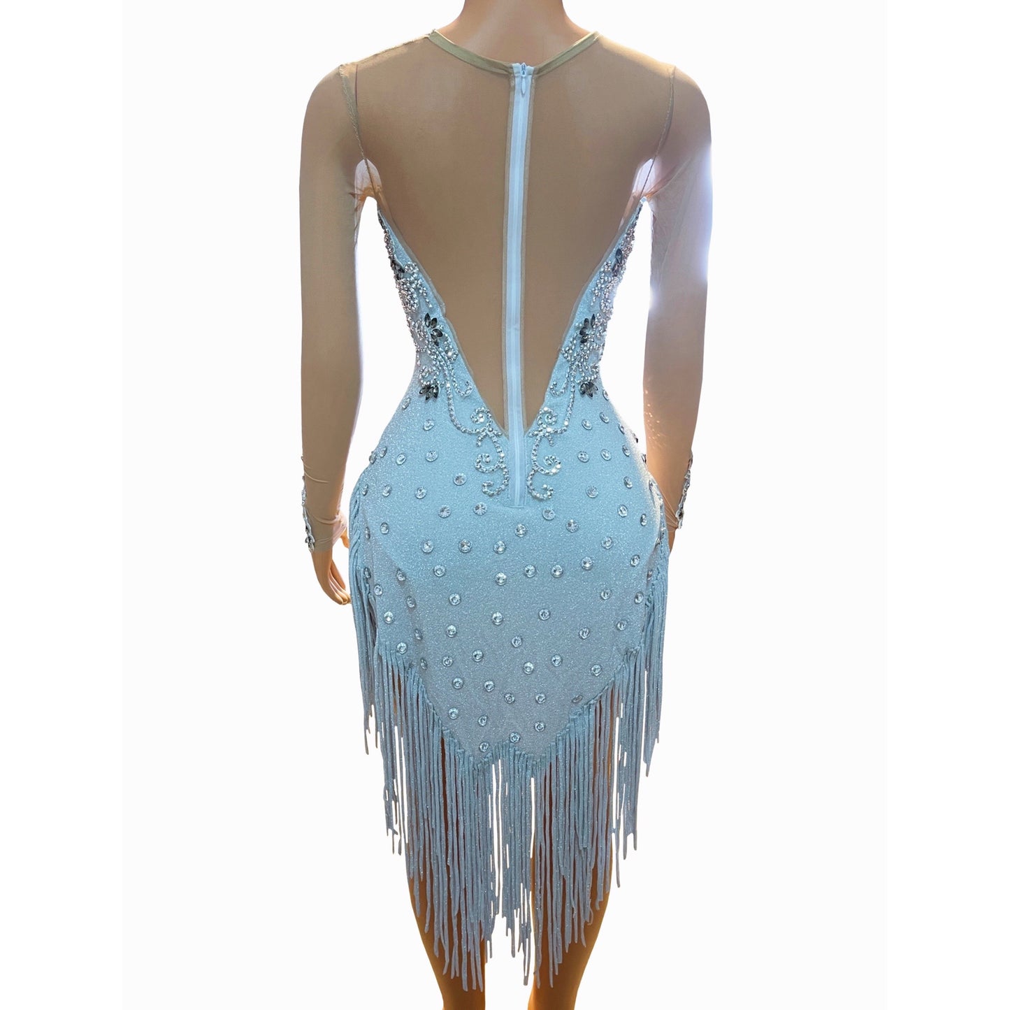 Crystal Elegance Fringe Dress