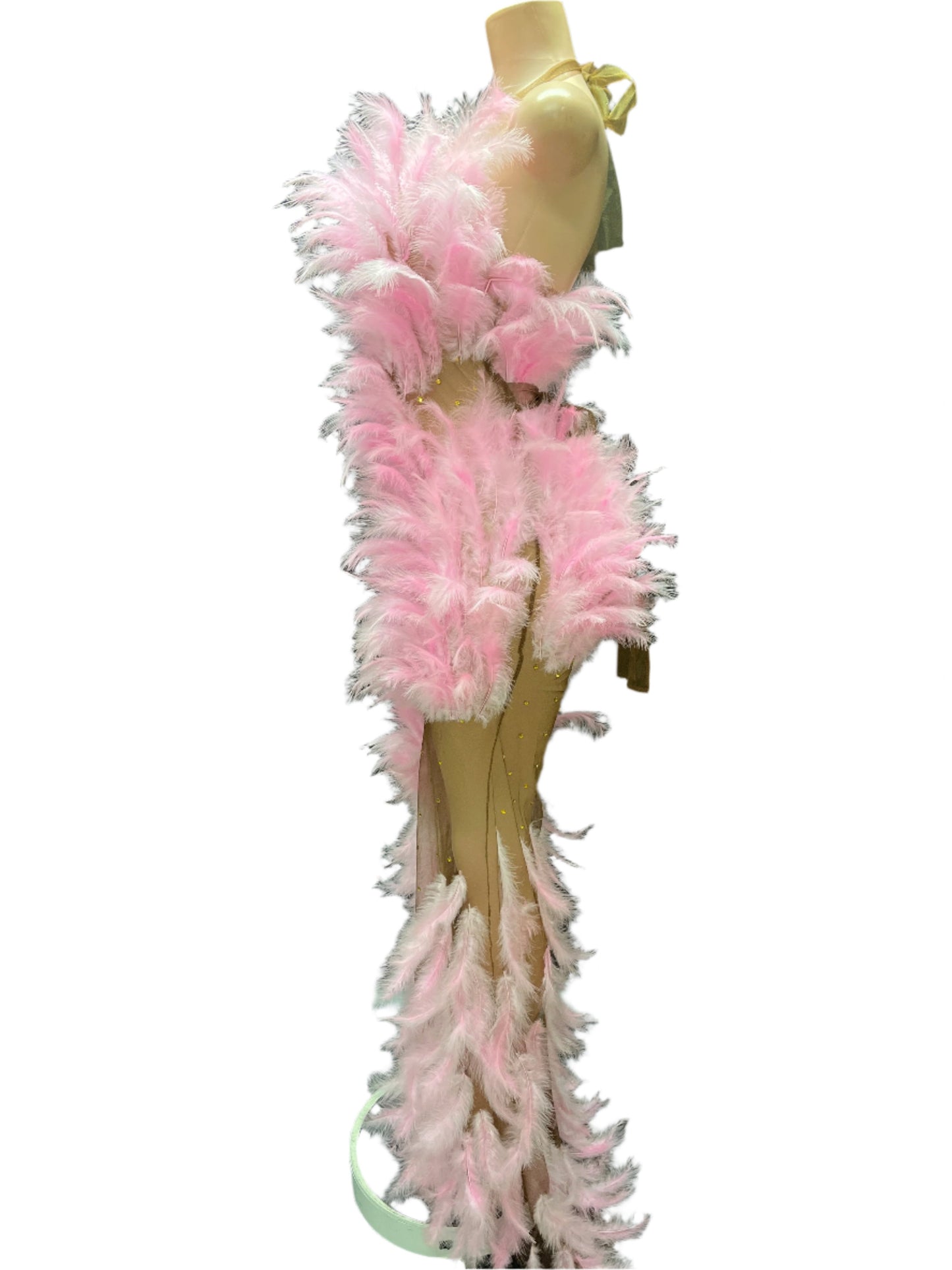 Pink Fantasy Feather Gown
